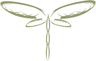 others - 00032-womandragonfly.png