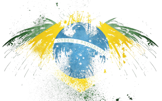 others - fly-paint-hawk-brazil-00107.png